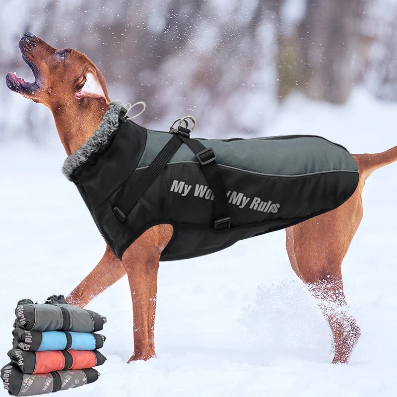 Fur Winter Jacket for Dogs