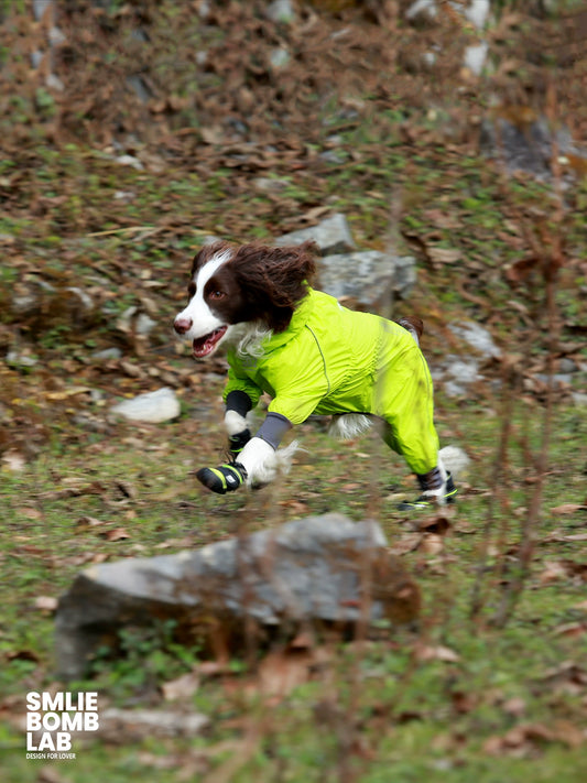 Non-Slip Boots For Medium and Large Dogs