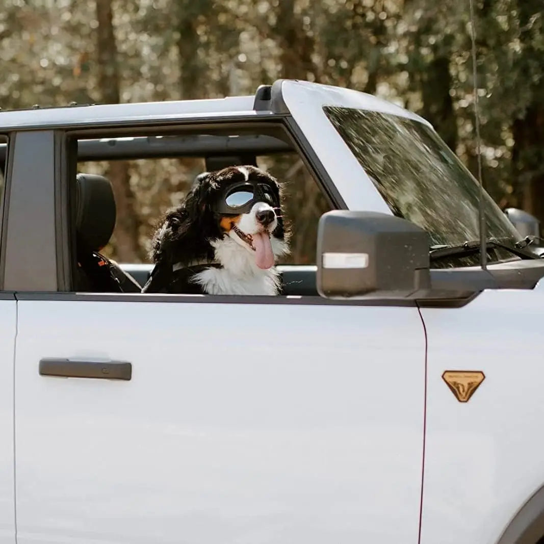 Anti-UV Transparent Sunglasses for Large Dog