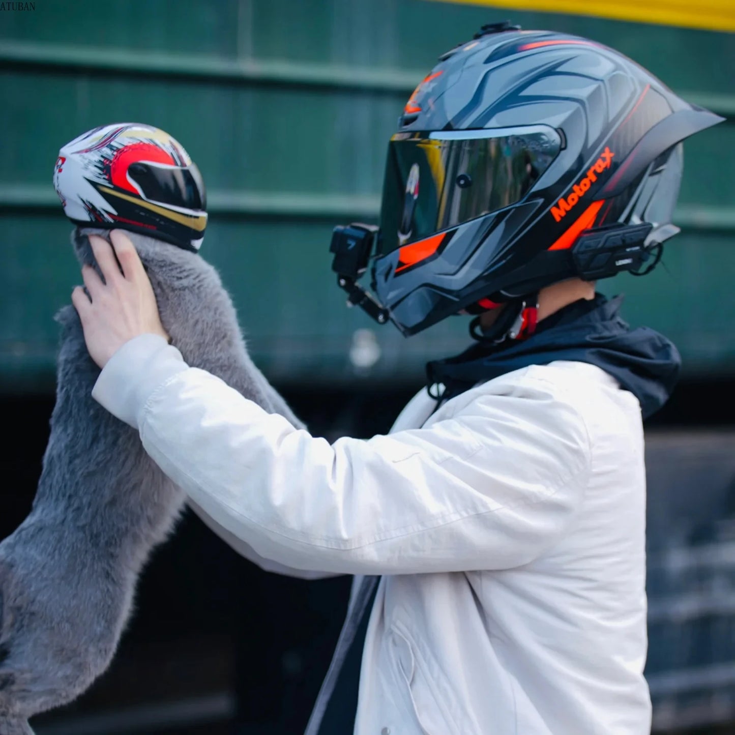 Mini Motorcycle Helmet for Cats and Smaller Dog