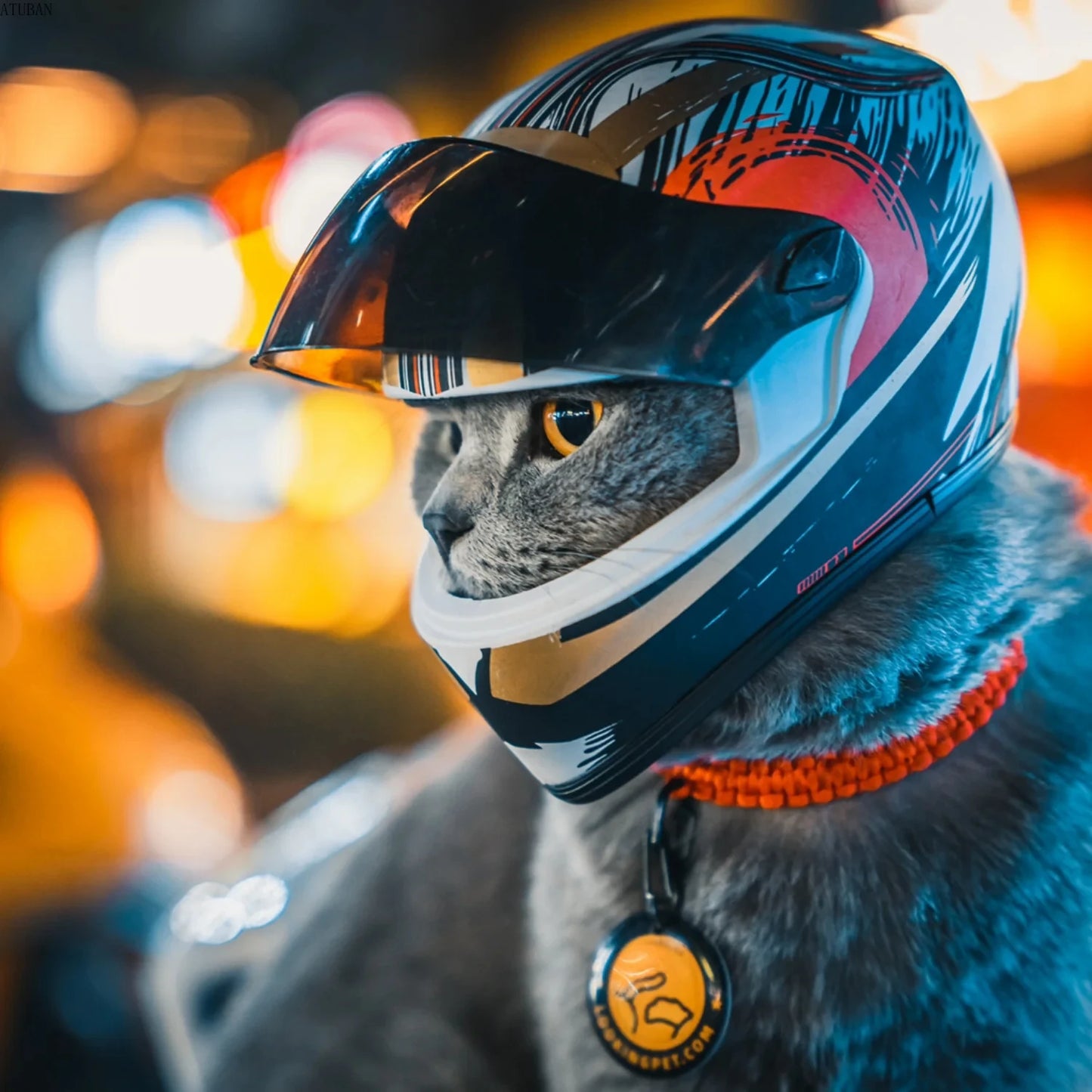 Mini Motorcycle Helmet for Cats and Smaller Dog